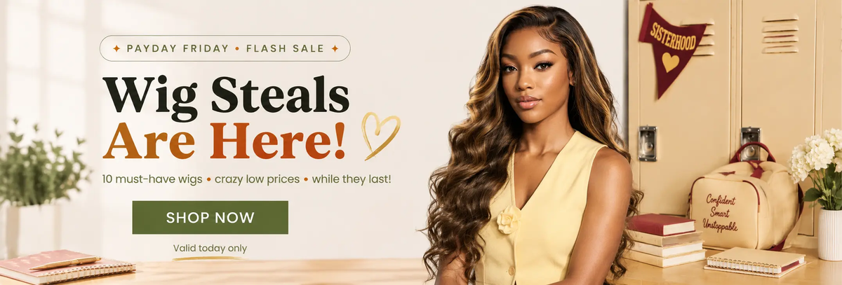 wigoutlets payday friday sale banner on computer